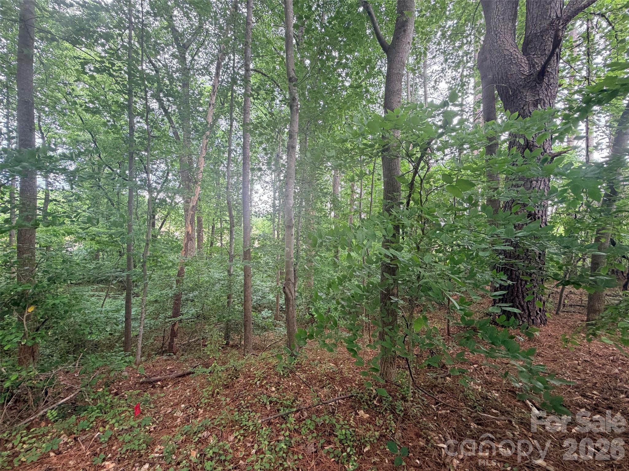 Lot 12 Sheepnose Drive Lake Lure NC 28746