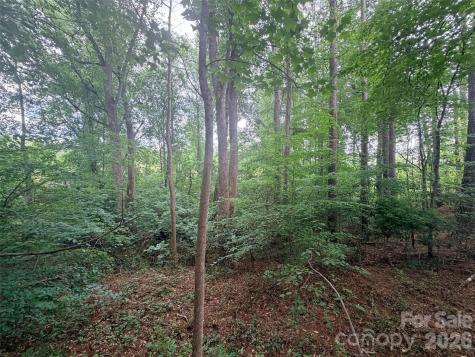 Lot 12 Sheepnose Drive Lake Lure NC 28746