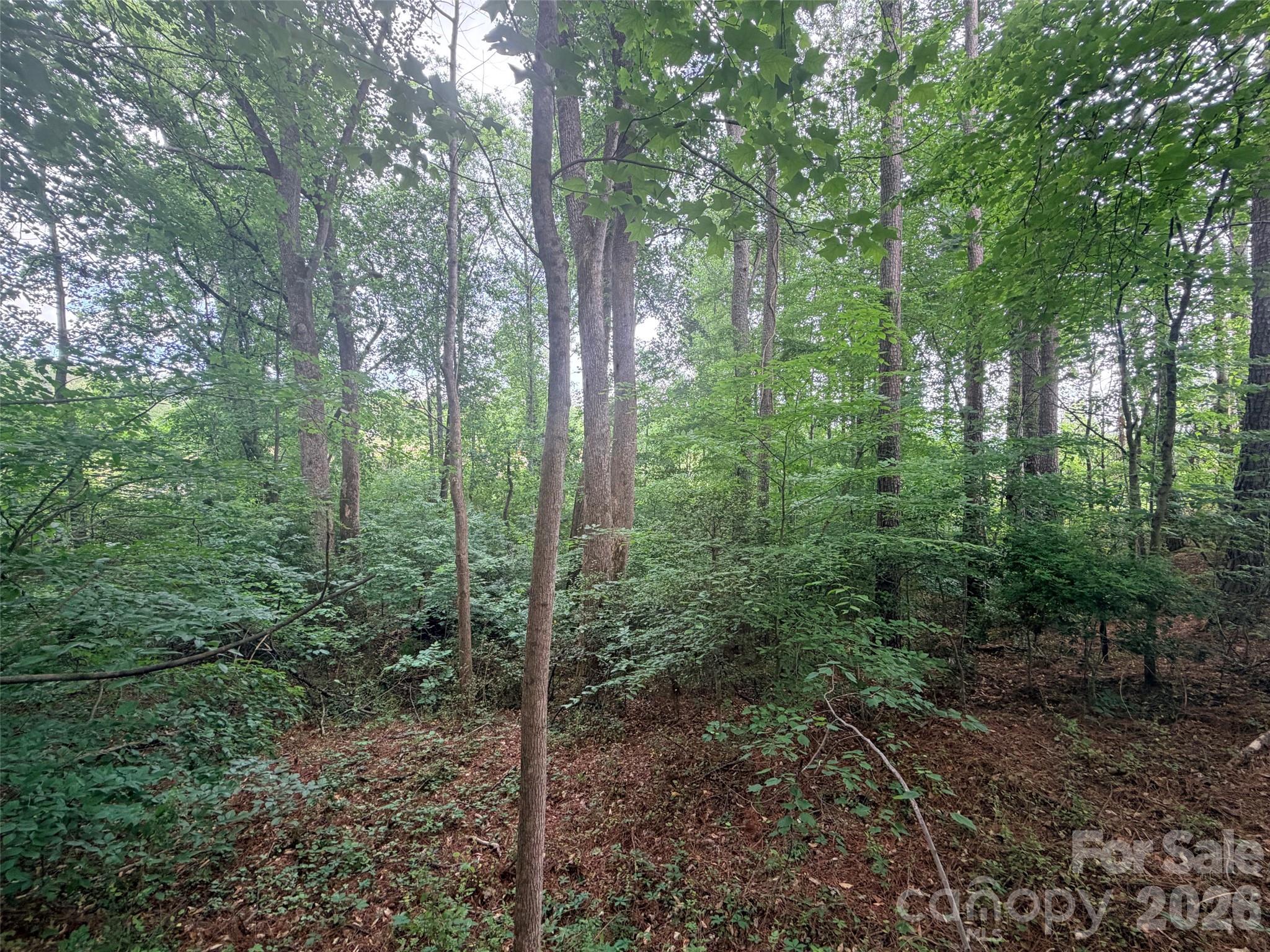 Lot 12 Sheepnose Drive Lake Lure NC 28746