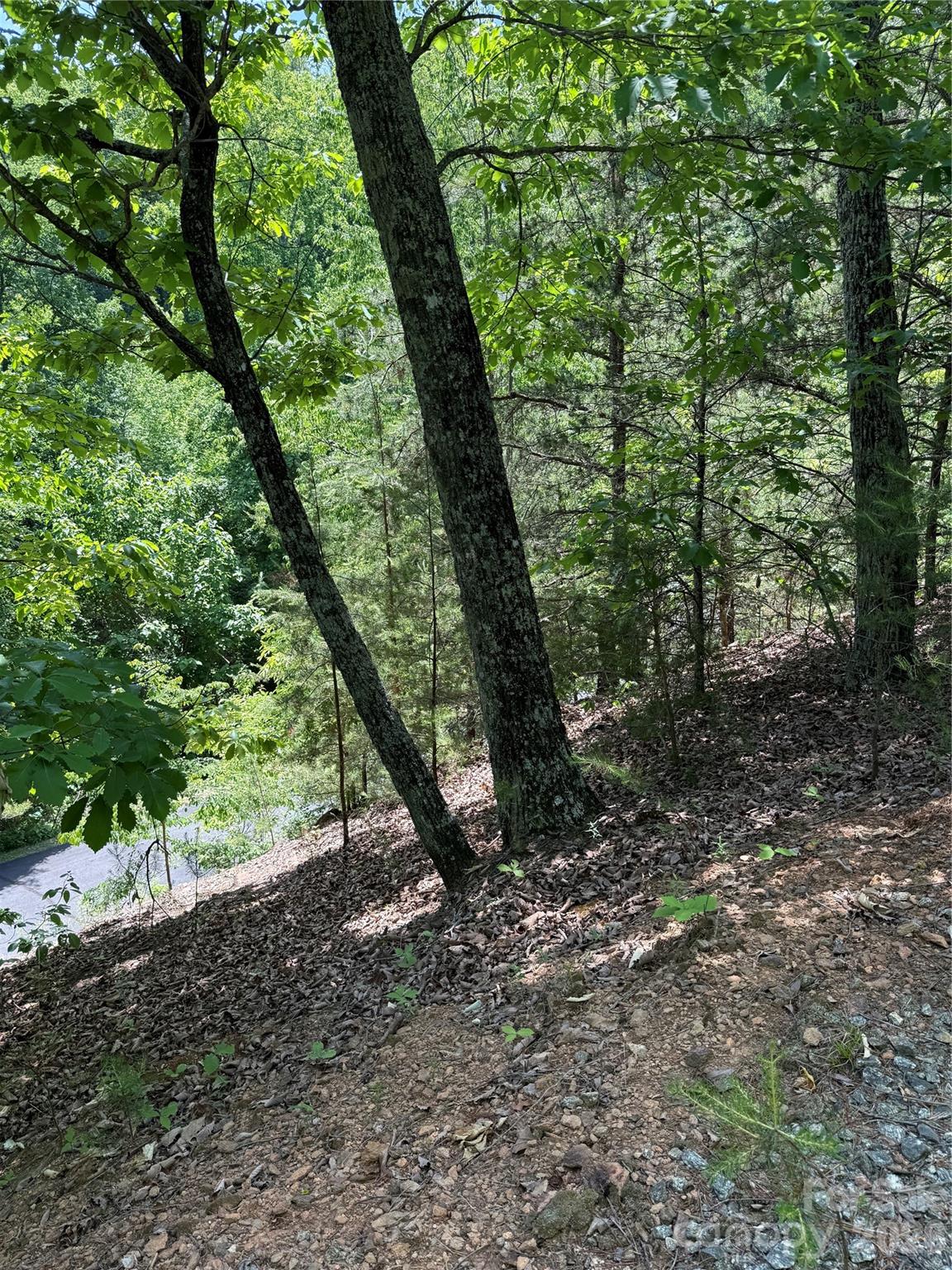105 Scouts Trail Bostic NC 28018
