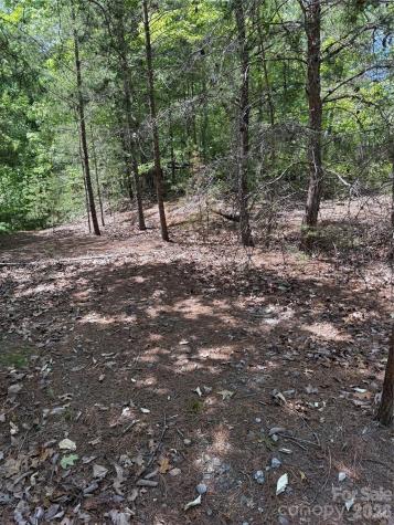 105 Scouts Trail Bostic NC 28018