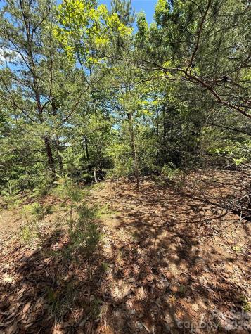 105 Scouts Trail Bostic NC 28018
