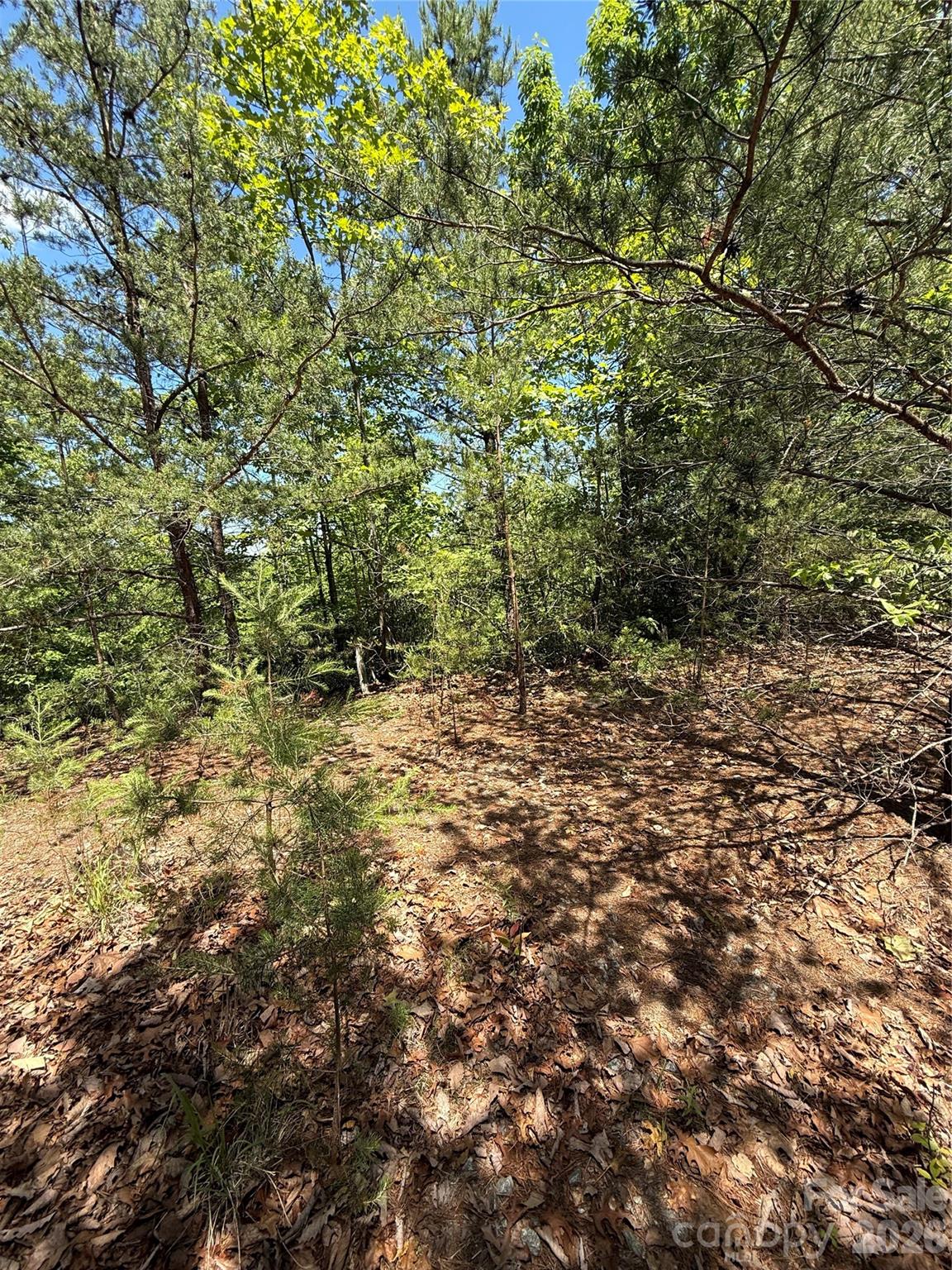 105 Scouts Trail Bostic NC 28018