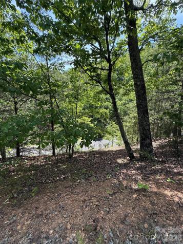 105 Scouts Trail Bostic NC 28018