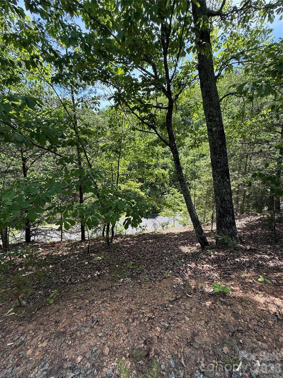 105 Scouts Trail Bostic NC 28018