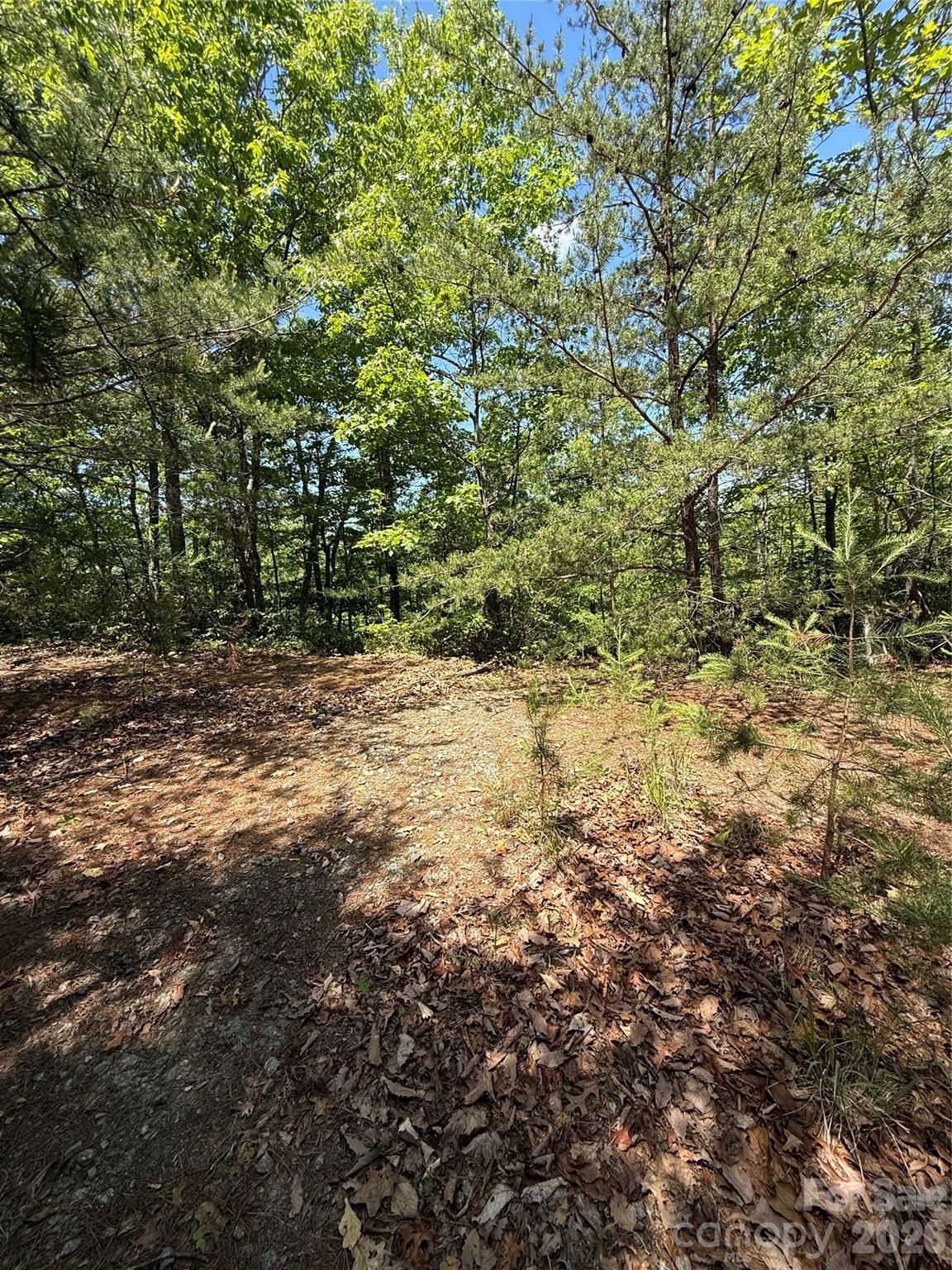 105 Scouts Trail Bostic NC 28018