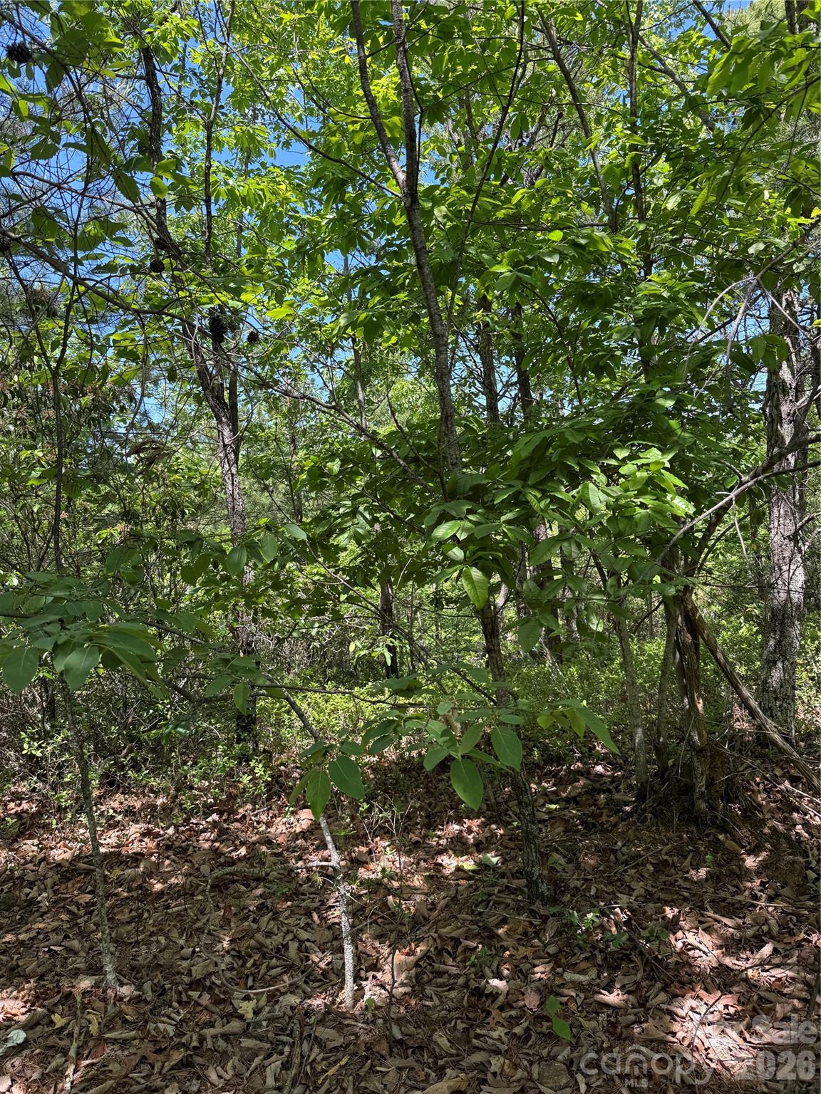 105 Scouts Trail Bostic NC 28018
