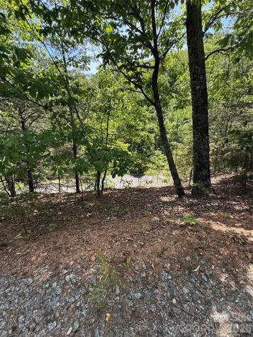105 Scouts Trail Bostic NC 28018
