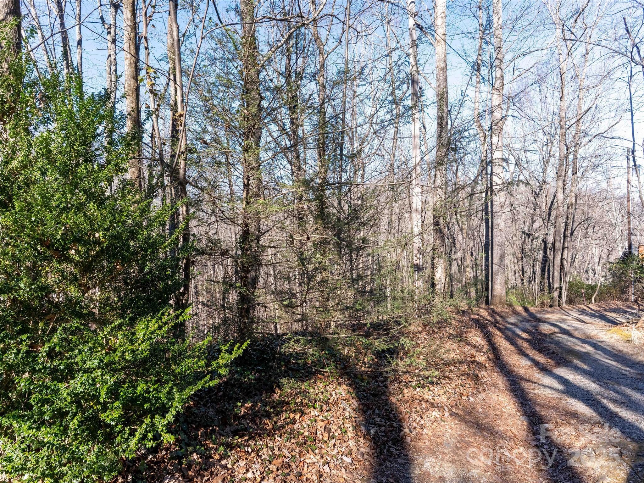00 Mountain Page Road Saluda NC 28773