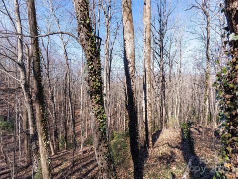 00 Mountain Page Road Saluda NC 28773