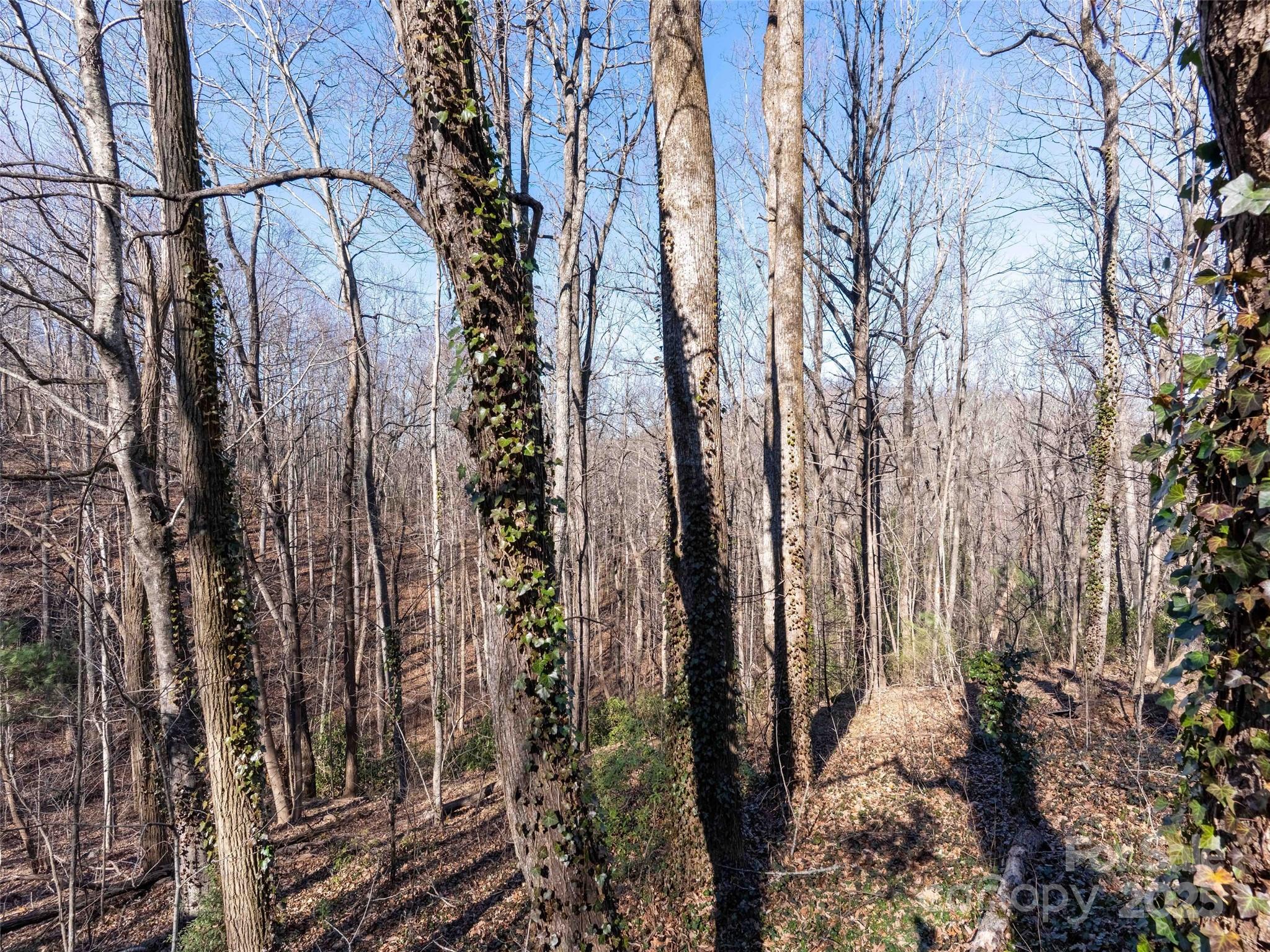 00 Mountain Page Road Saluda NC 28773
