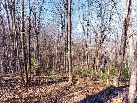 00 Mountain Page Road Saluda NC 28773