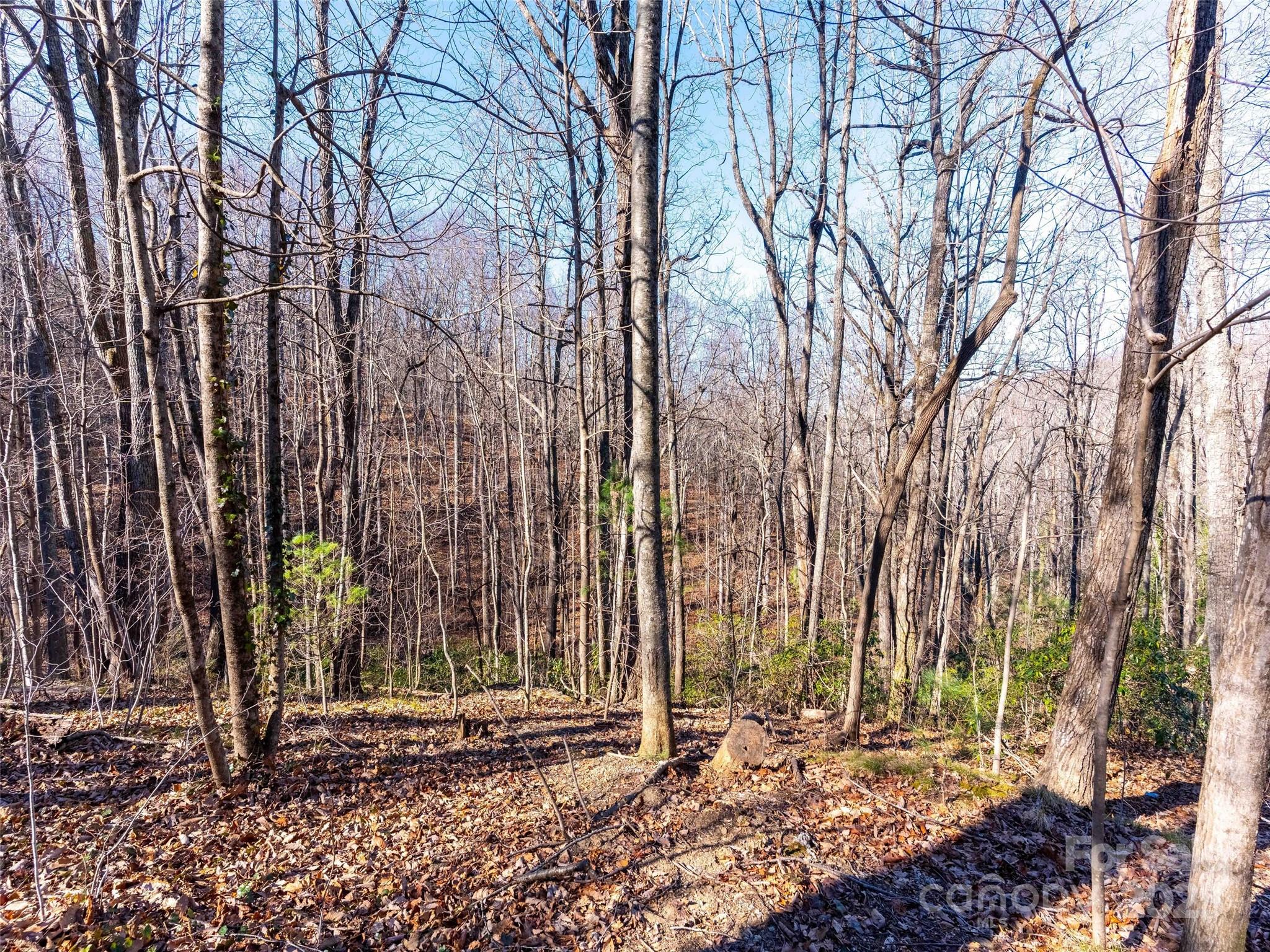 00 Mountain Page Road Saluda NC 28773