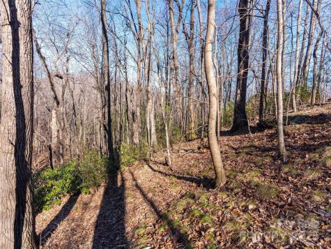 00 Mountain Page Road Saluda NC 28773