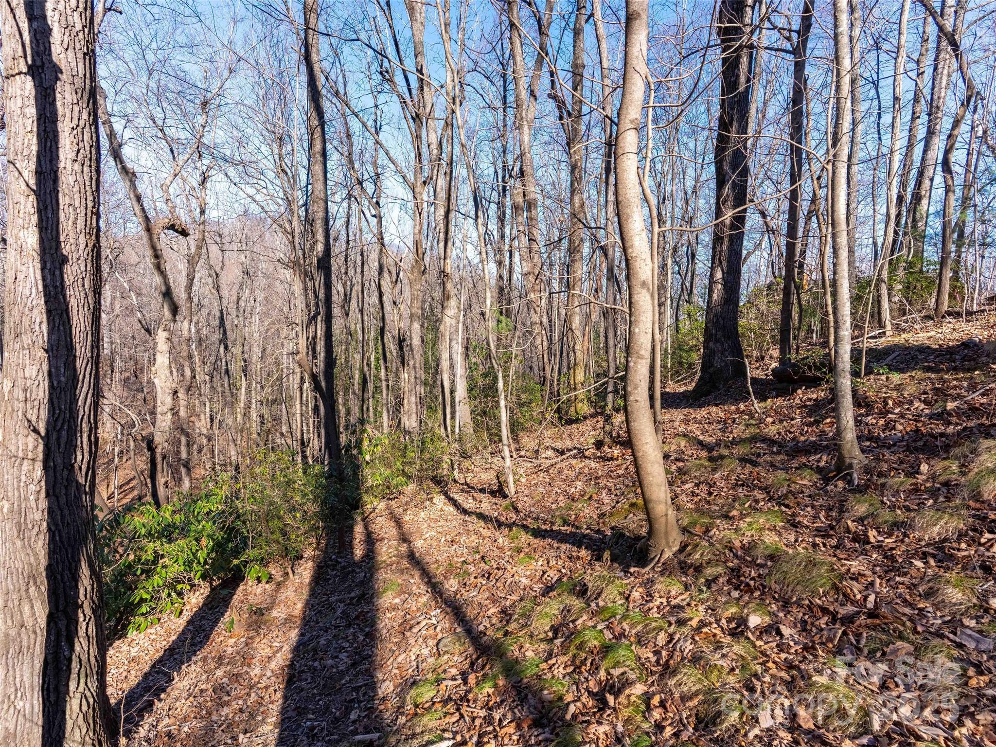 00 Mountain Page Road Saluda NC 28773