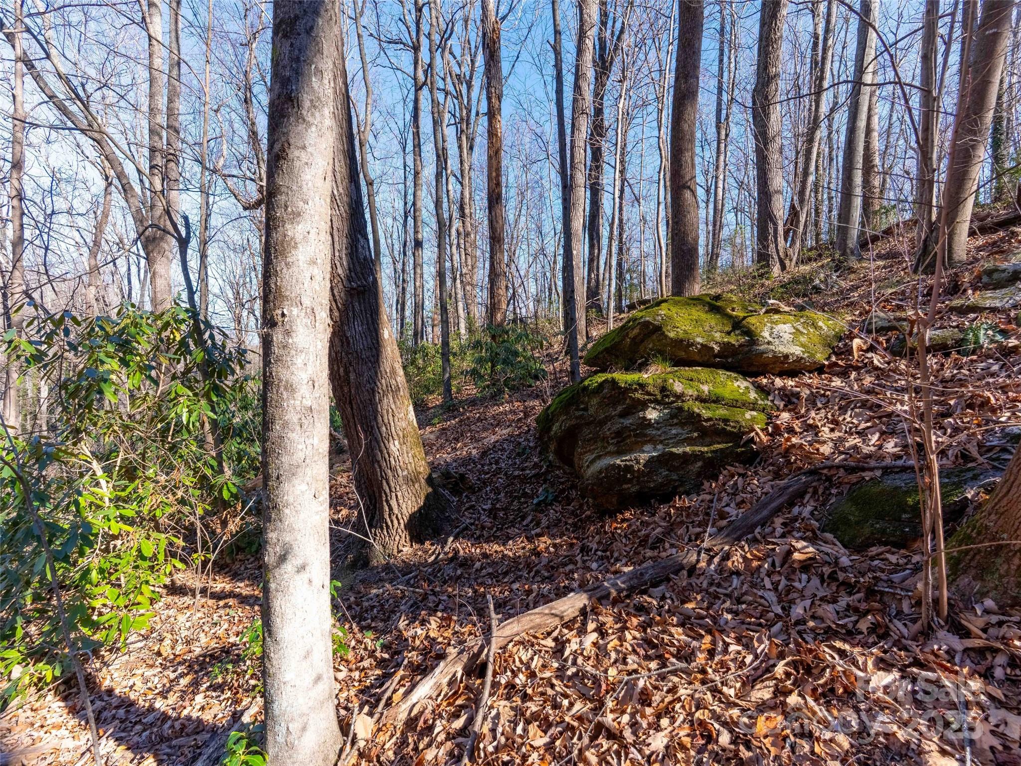 00 Mountain Page Road Saluda NC 28773