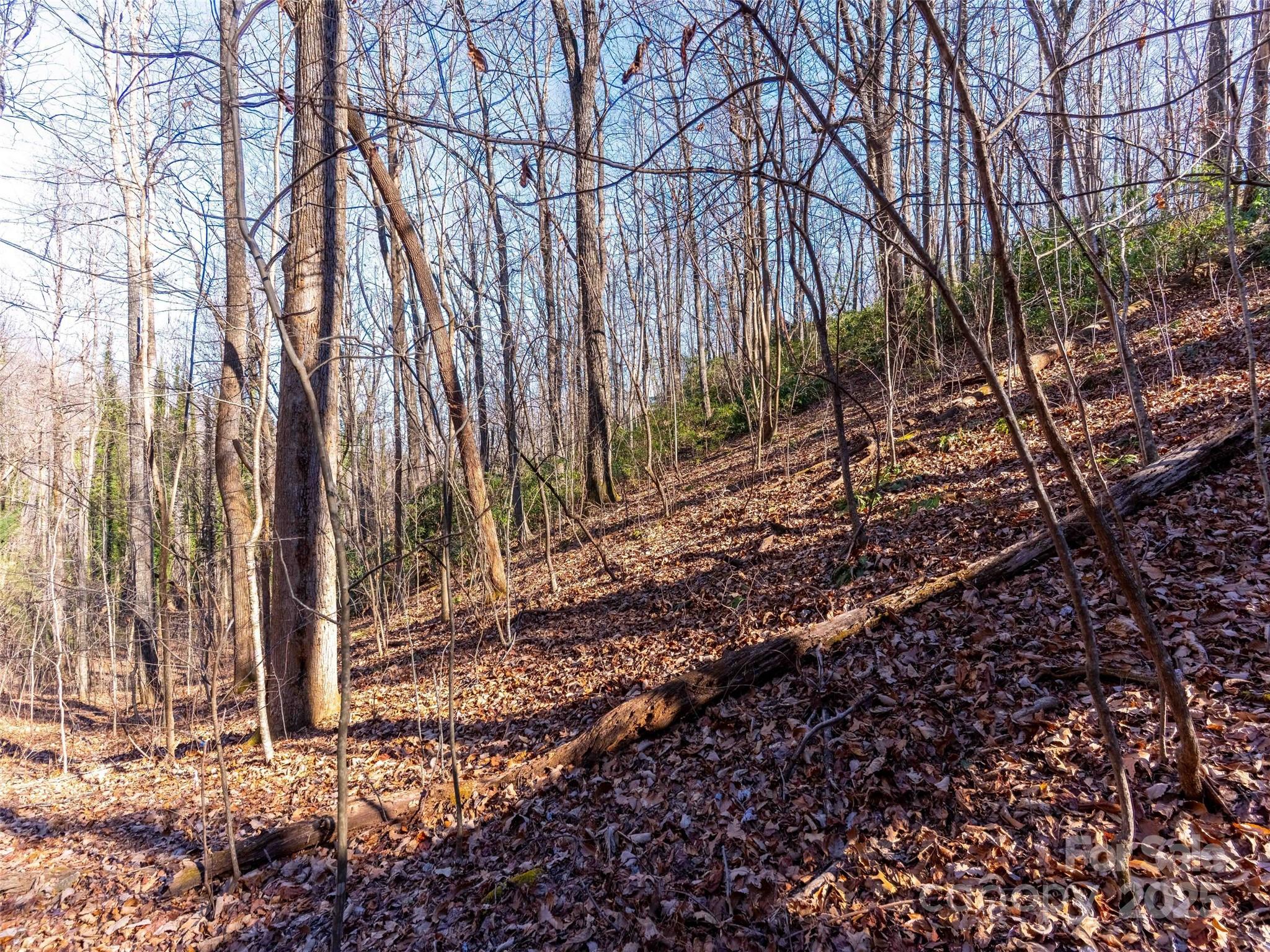00 Mountain Page Road Saluda NC 28773