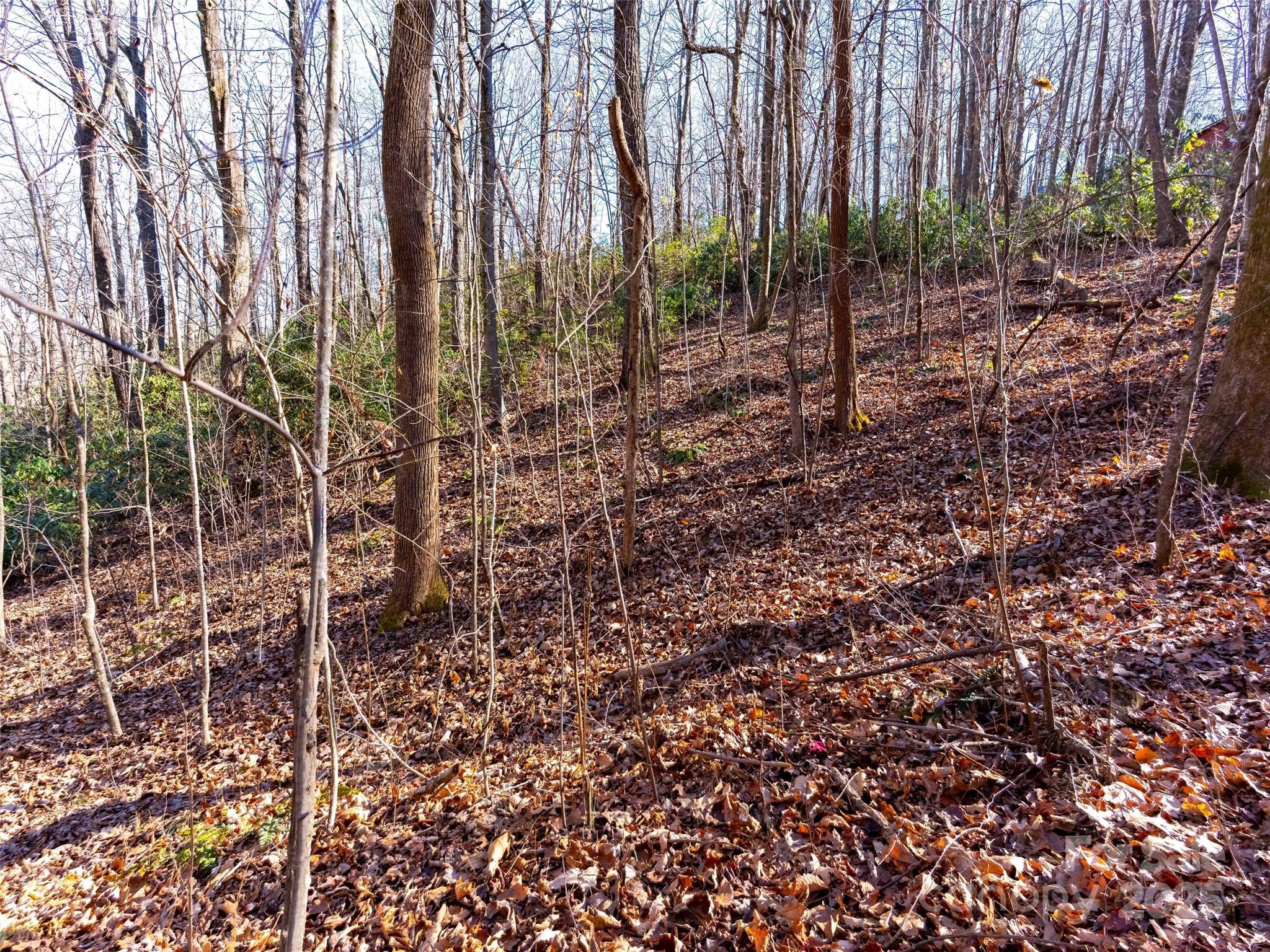 00 Mountain Page Road Saluda NC 28773