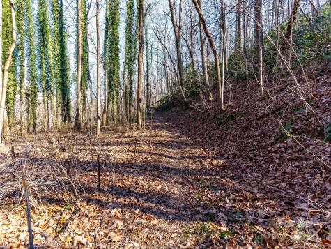 00 Mountain Page Road Saluda NC 28773
