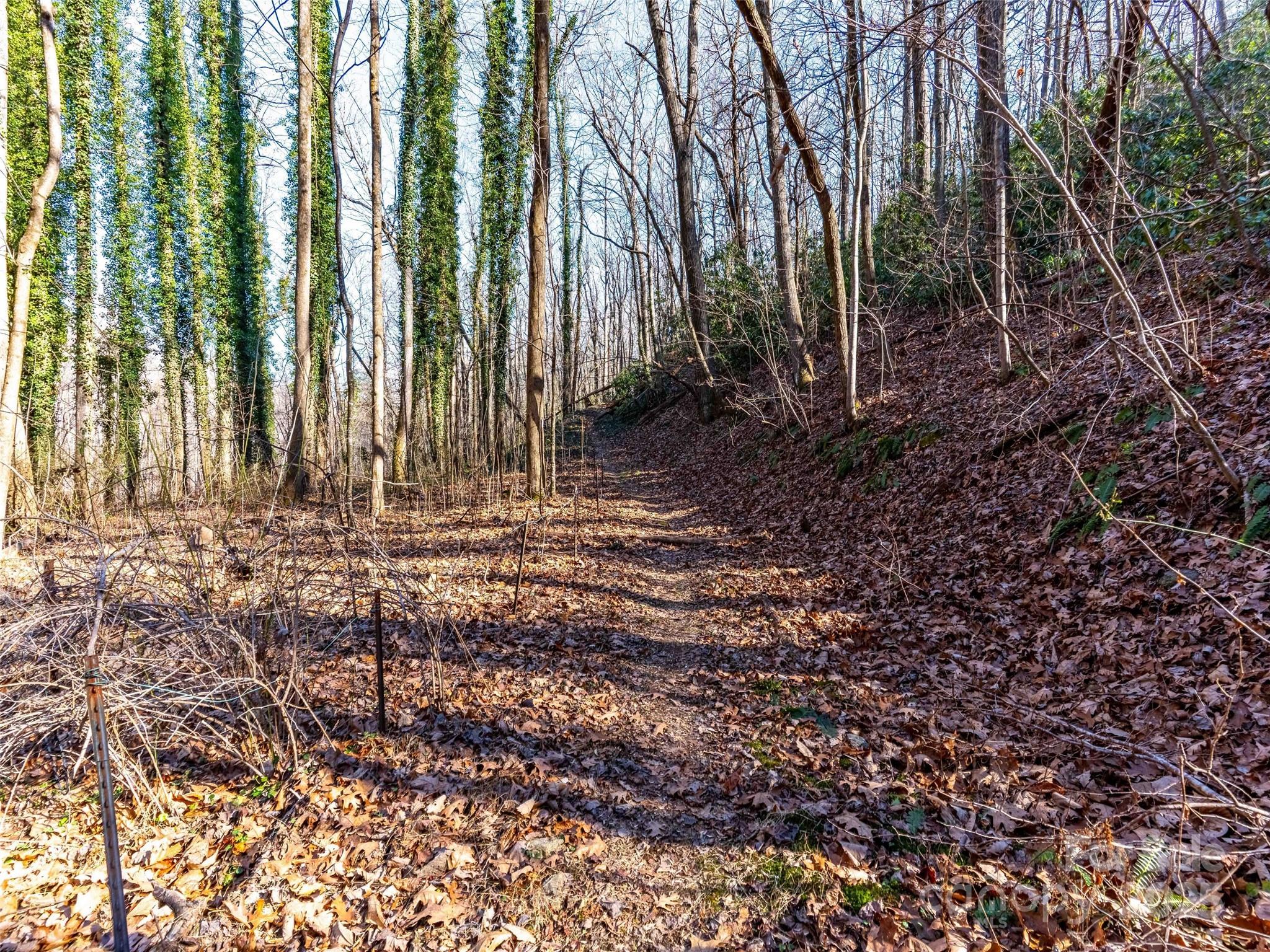 00 Mountain Page Road Saluda NC 28773