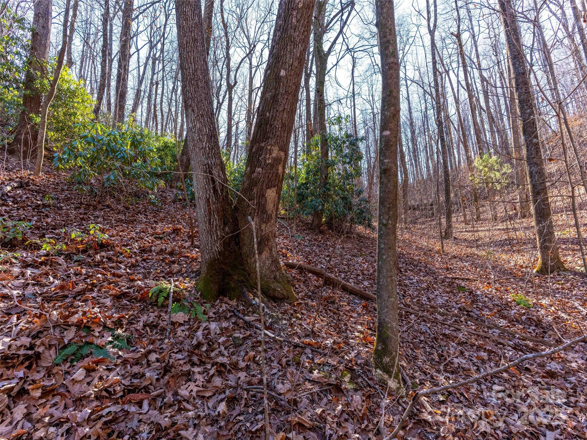 00 Mountain Page Road Saluda NC 28773