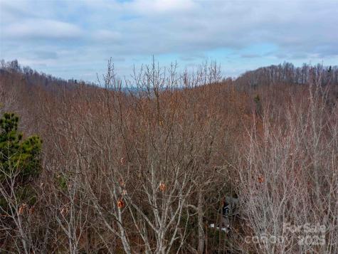 00 Mountain Page Road Saluda NC 28773