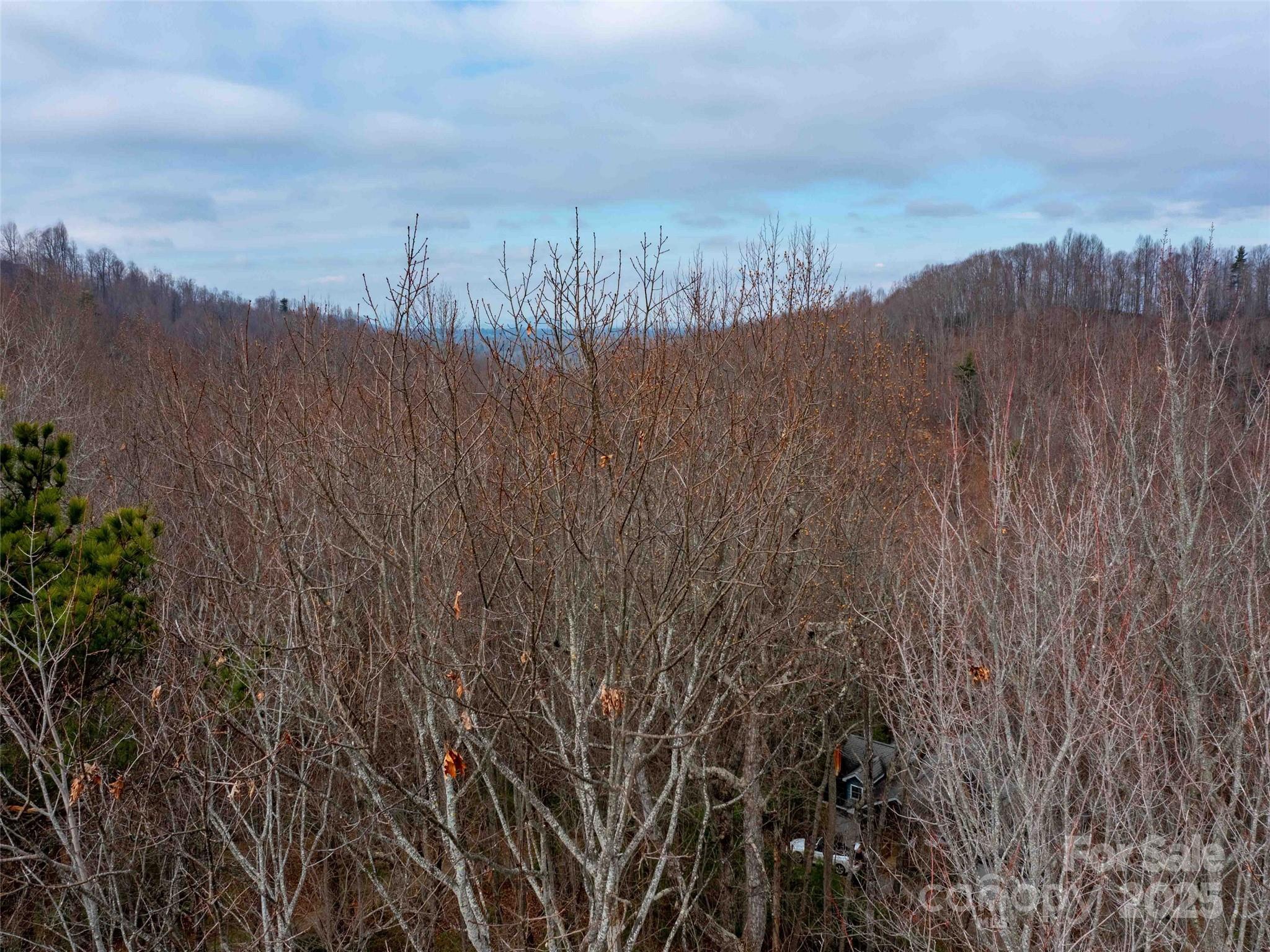 00 Mountain Page Road Saluda NC 28773