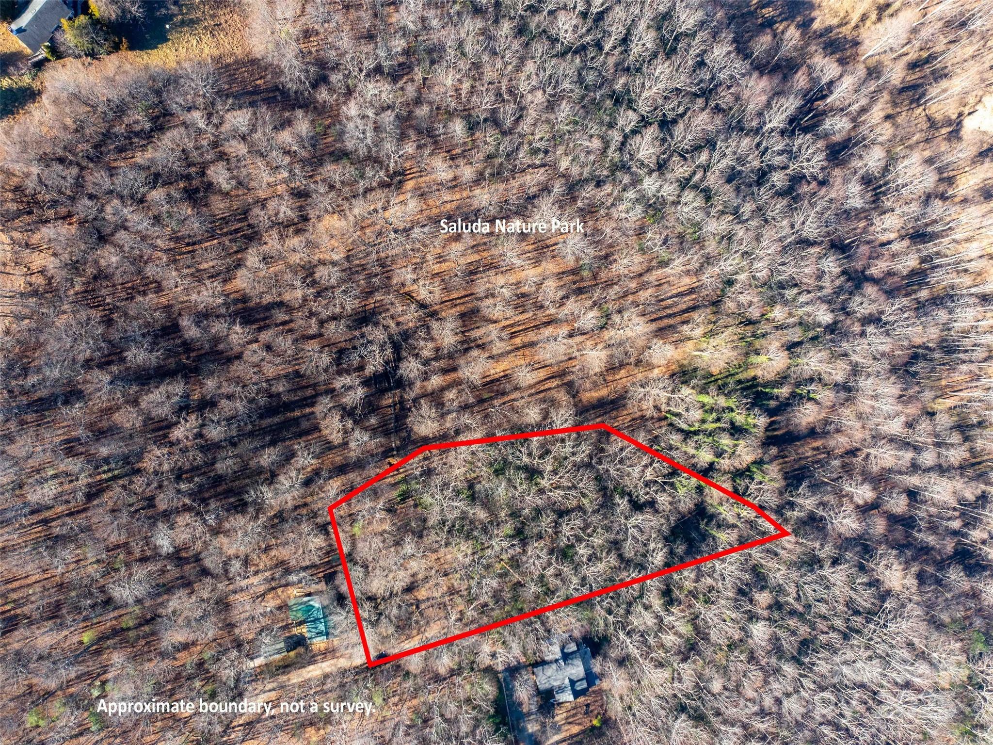 00 Mountain Page Road Saluda NC 28773