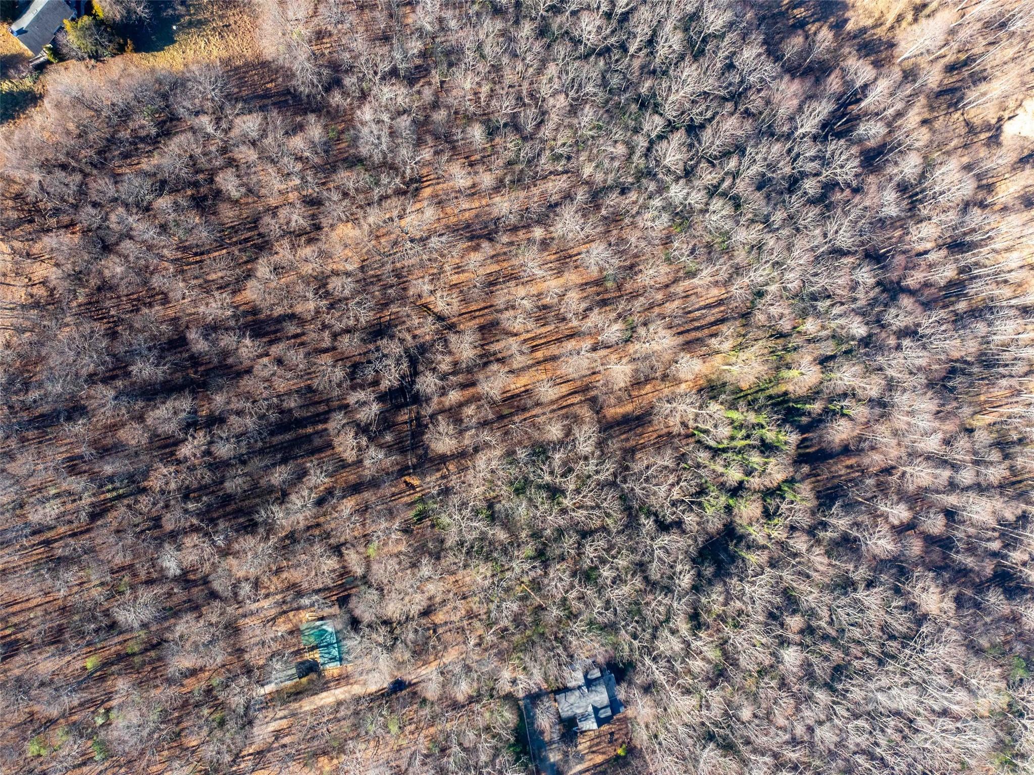 00 Mountain Page Road Saluda NC 28773
