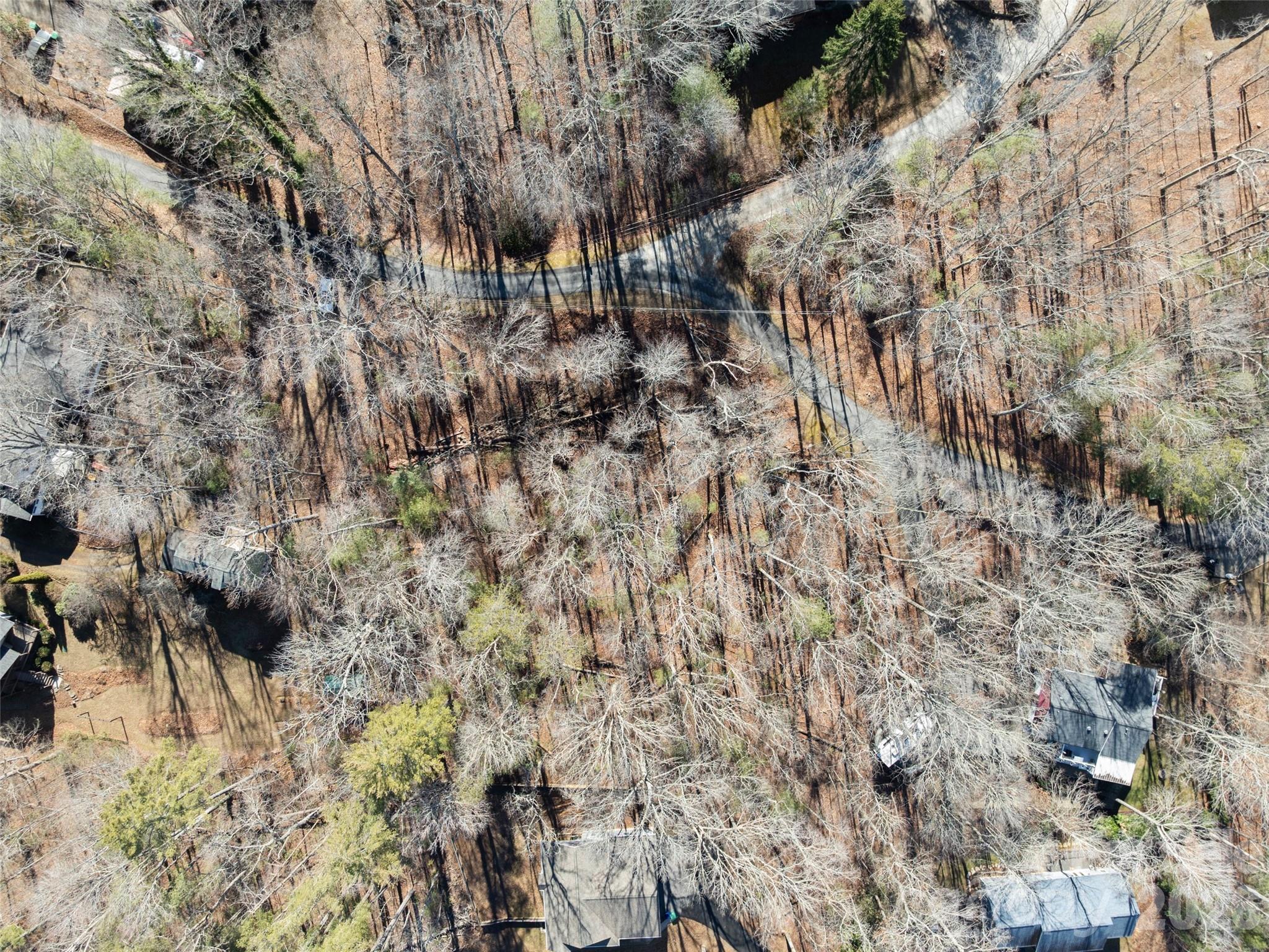 Lot 7 Mountain Heritage Place Candler NC 28715