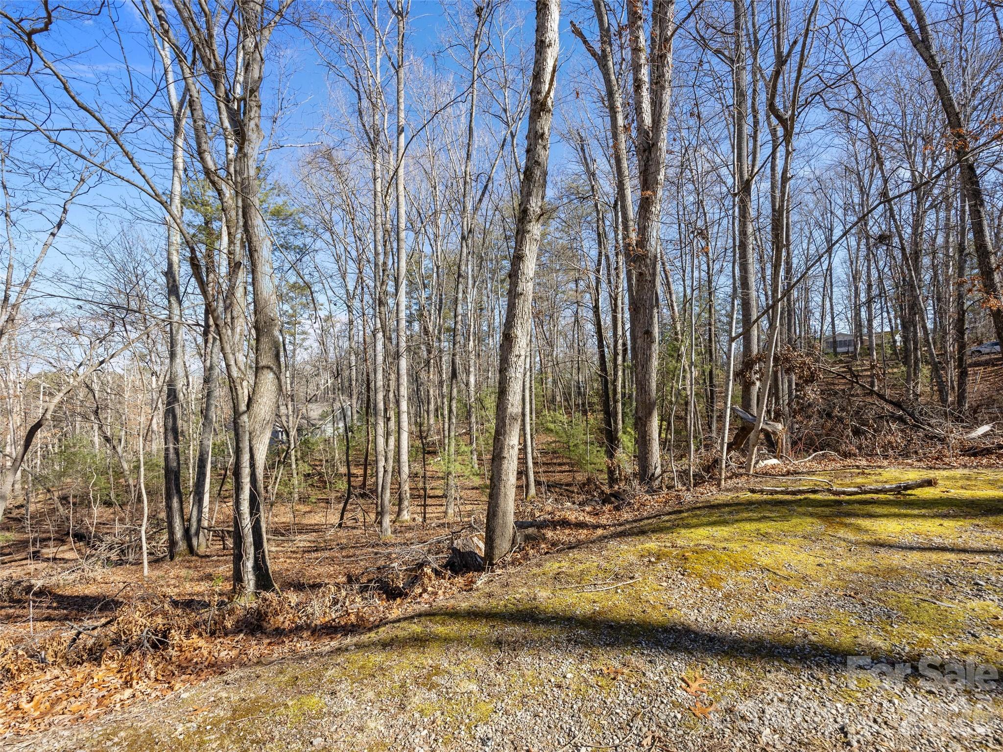 Lot 7 Mountain Heritage Place Candler NC 28715