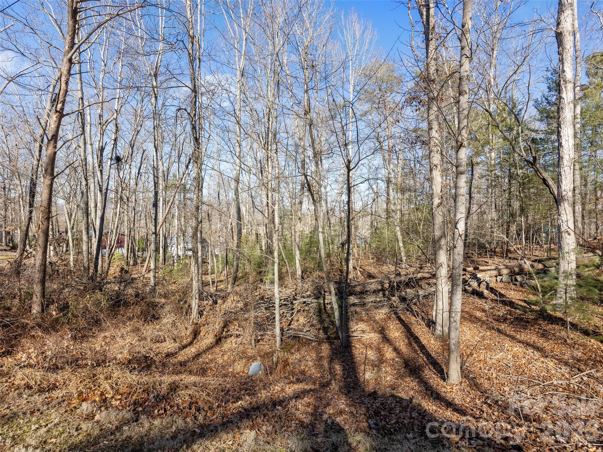 Lot 7 Mountain Heritage Place Candler NC 28715