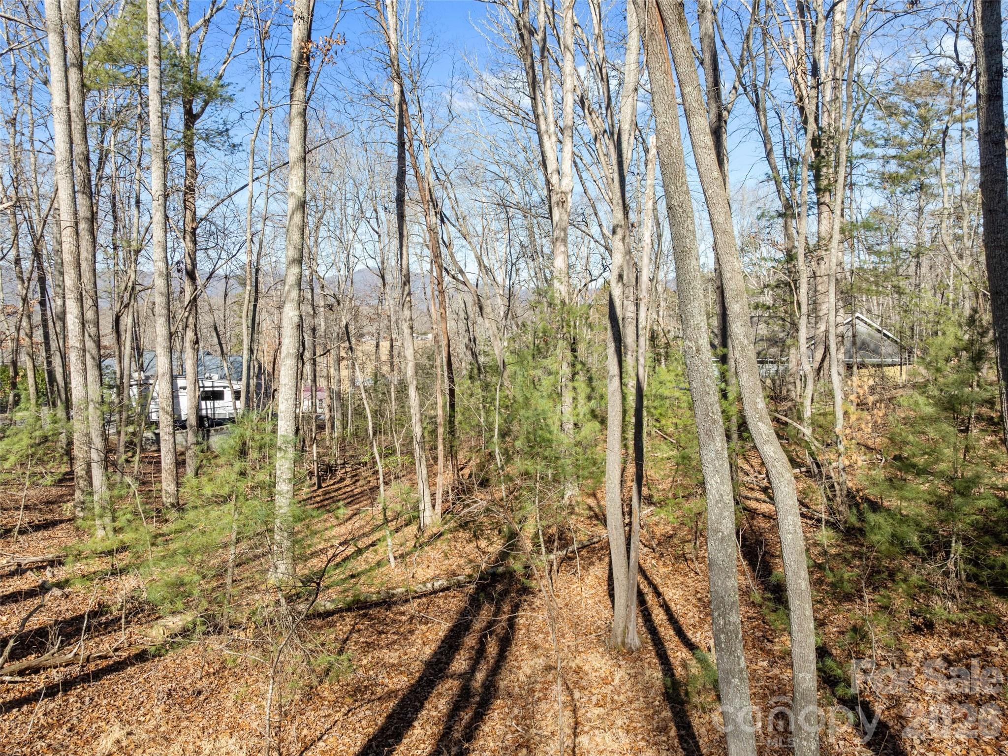 Lot 7 Mountain Heritage Place Candler NC 28715