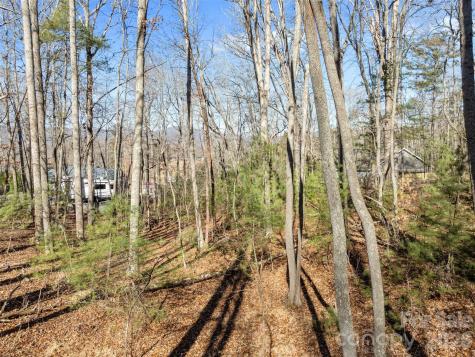 Lot 7 Mountain Heritage Place Candler NC 28715