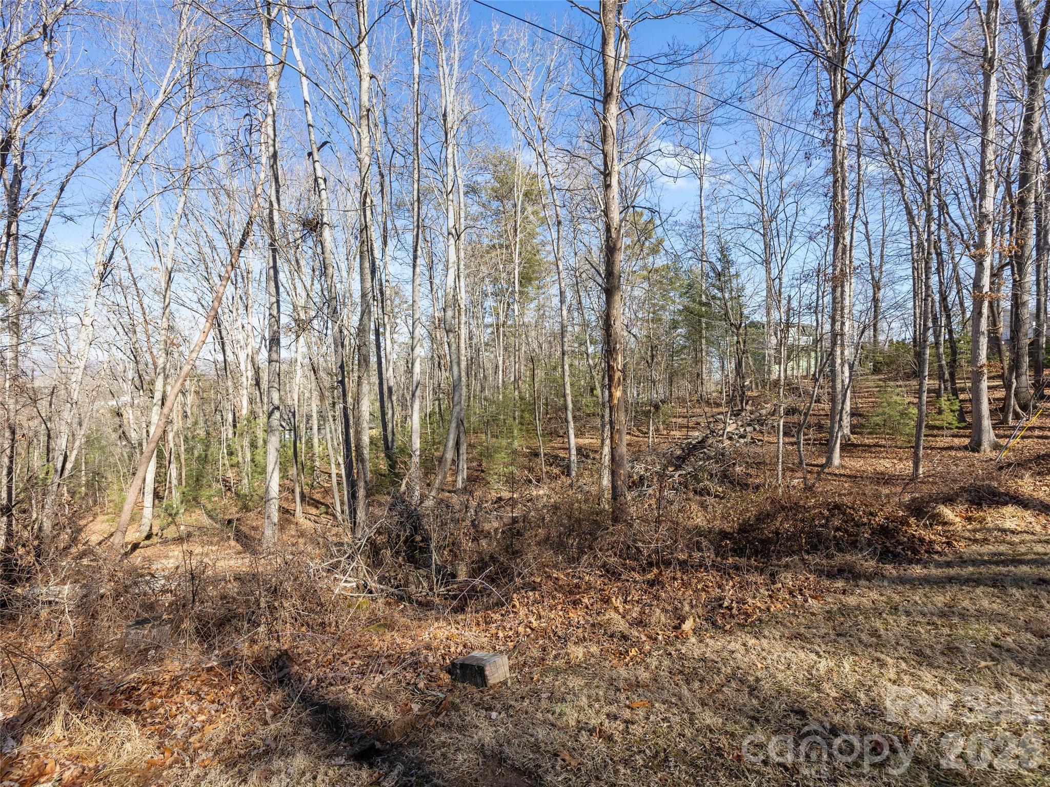 Lot 7 Mountain Heritage Place Candler NC 28715