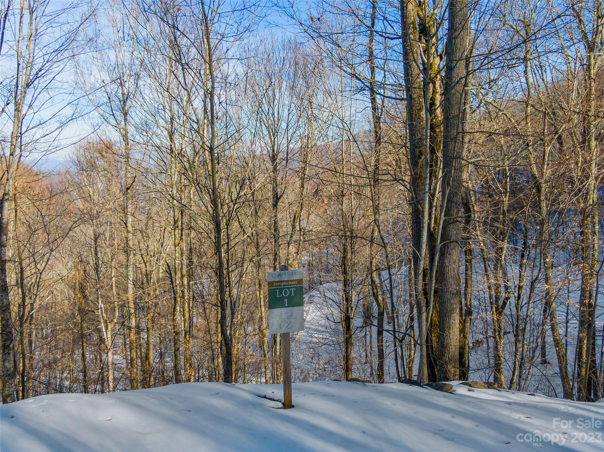 Lot 1 Mountain Gait Drive Mars Hill NC 28754