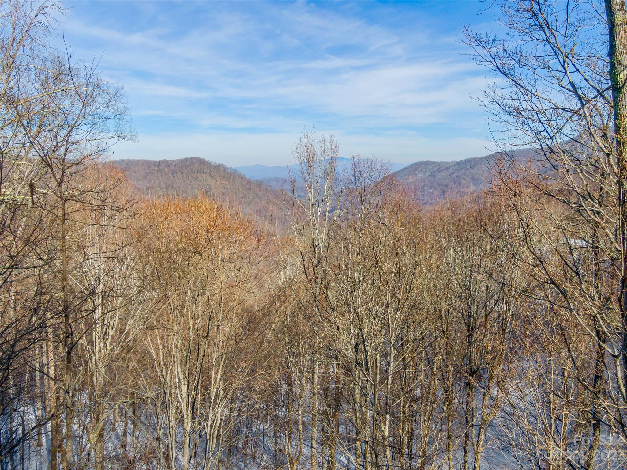 Lot 1 Mountain Gait Drive Mars Hill NC 28754