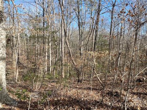 161 Little River Trail Lancaster SC 29720