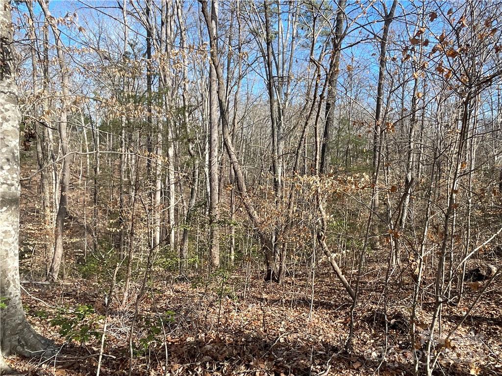 161 Little River Trail Lancaster SC 29720