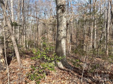 161 Little River Trail Lancaster SC 29720