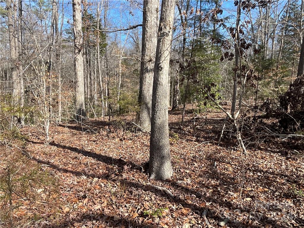161 Little River Trail Lancaster SC 29720