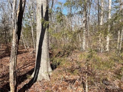 161 Little River Trail Lancaster SC 29720