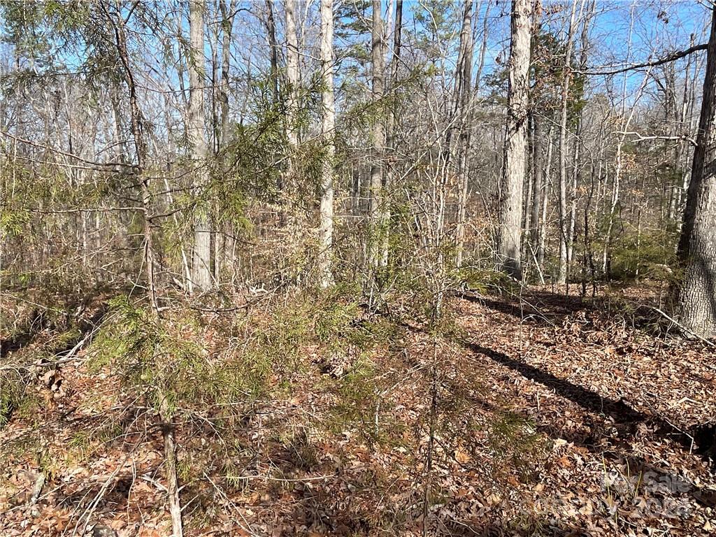 161 Little River Trail Lancaster SC 29720