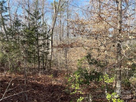 161 Little River Trail Lancaster SC 29720