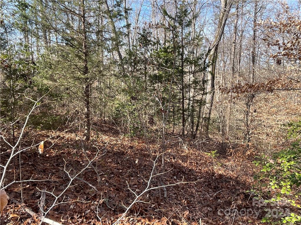 161 Little River Trail Lancaster SC 29720