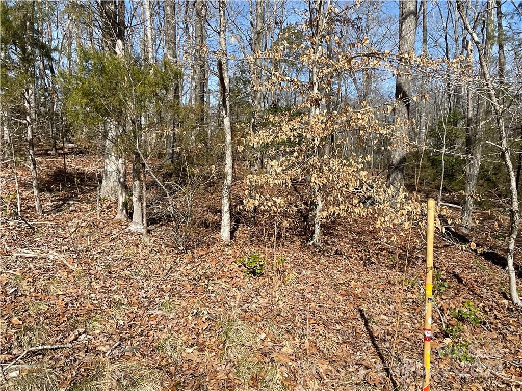 161 Little River Trail Lancaster SC 29720