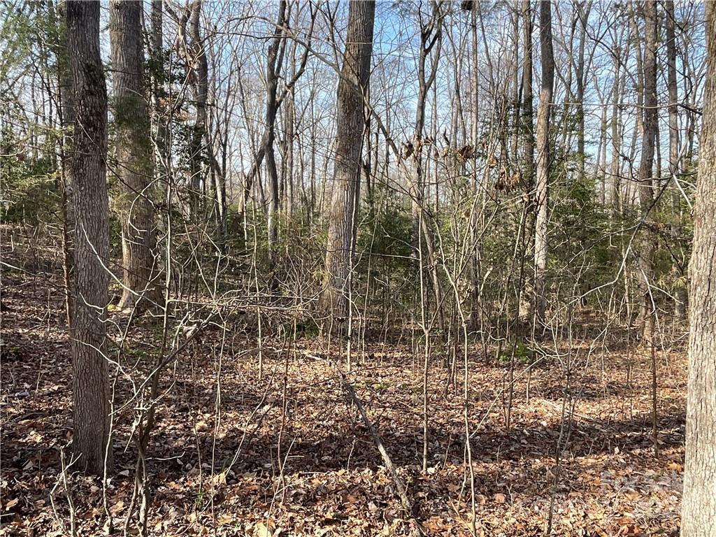 161 Little River Trail Lancaster SC 29720