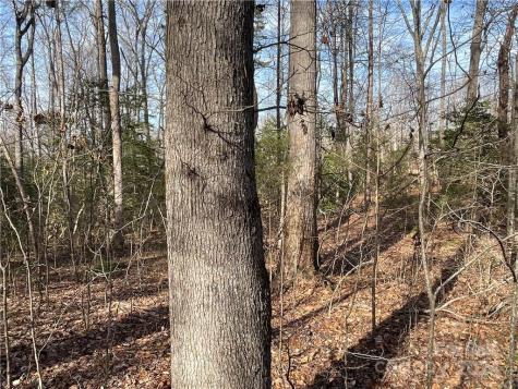 161 Little River Trail Lancaster SC 29720