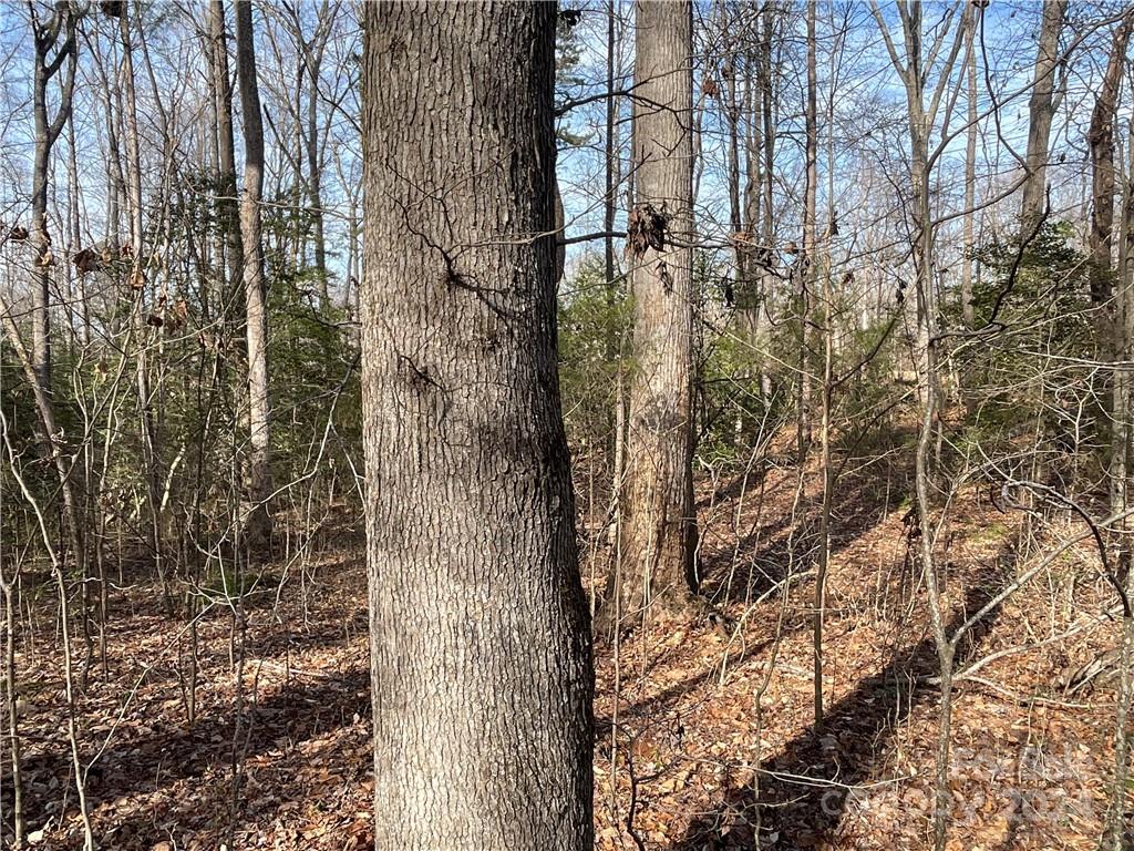 161 Little River Trail Lancaster SC 29720