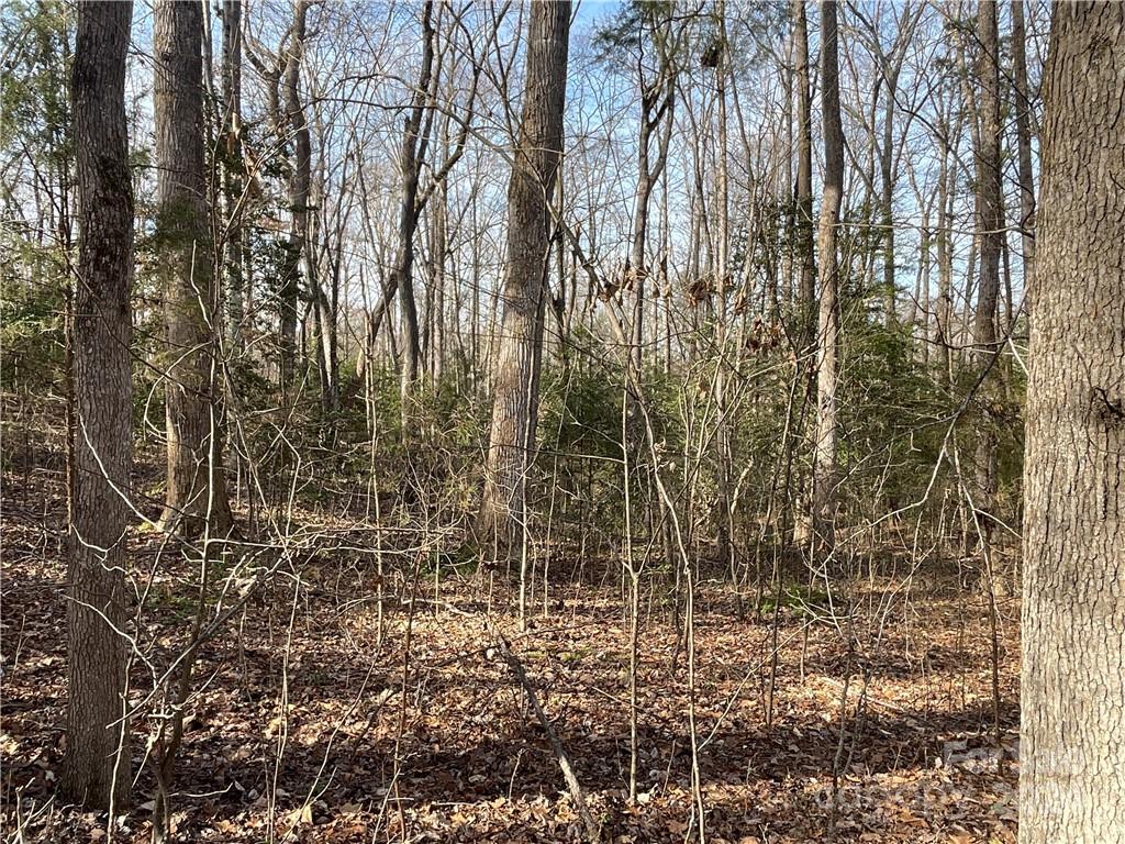 161 Little River Trail Lancaster SC 29720